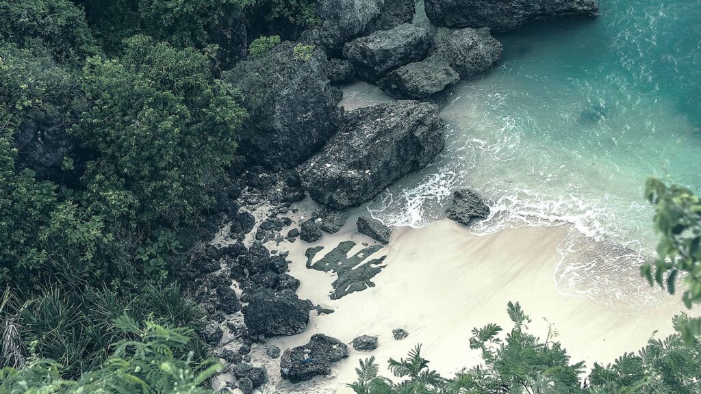bg 09 free img